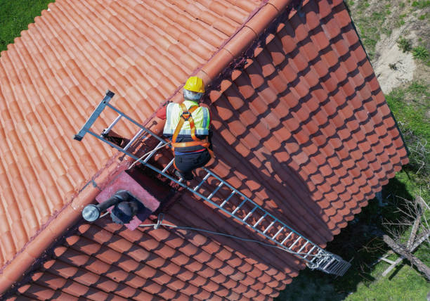 Best Roof Maintenance and Cleaning  in Elburn, IL